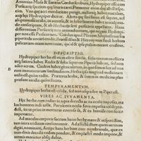 0324 - Page 156 - Sequuntur nomenclaturae herbarum incipientium à litera I