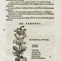 0596 - Page 292 - De verbena