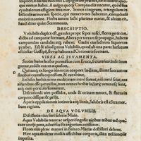 0613 - Page sans numérotation - De urtica