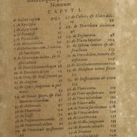 0018 - Page sans numérotation - Index capitum singulorum librorum Benedicti Vettori