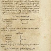 0038 - Page 17 - De decoctis vulneratis / Aliud / Aliud intrinsecus, & extrinsecus adhibendum
