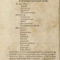 0111 - Page 90 - Extractum cephalicum majus