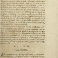 0212 - Page 191 - Cap. XXIV. De alumine
