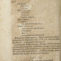 0325 - Page 304 - Cap. VIII. Syrupus de peto compositus / Cap. IX. Syrupus de succo hederae terrestris