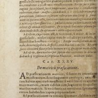 0561 - Page 116 - Cap. XXXV. De matricis praefocatione