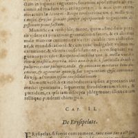 0711 - Page 266 - Cap. II. De erysipelate