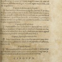 0796 - Page 351 - Caputpurg solenne & expertum ad coroborationem omnium sensuum / Caputpurg in materia phlegmatica / Caputp. in dolore capitis frigido / Caputp. nobile ad idem / Caputp. superinfluitatis cerebri / Caputp. elegans / Cerotum. Cerotum nobile & expertum ad scrophulas
