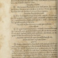 0893 - Page 448 - Sacculus cordialis / Sacculus elegans capitalis / Sacculus ad idem / Sacculus frigidus pro corde / Sacculus ad fluxum ventris, cum quo infirmus sedere debeat / Sacculus capitalis & expertus ad sibilum & tinnitum aurium ac si nuces frangantur