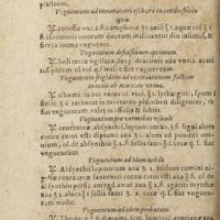 0907 - Page 462 - Unguentum de corticibus castanearum valens ad immoderatum fluxum menstruorum & dysenteriam / Unguentum ad remotionem escharae in combustione ignis / Unguentum defensiuum optimum / Unguentum frigidum ad excoriationem factam in coxis ab acuitate urinae / Unguentum pro vermibus usuale / Unguentum ad idem nobile / Unguentum ad idem probatum / Unguentum de tuthia extertum ad ulcera virgae