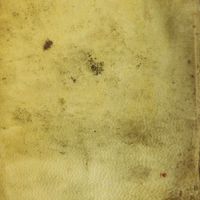 0229 - Page sans numérotation - [Plat inférieur]