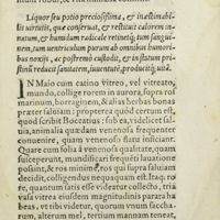 0022 - Page 3 - Liquor seu potio preciosissima, & inaestimabilis virtutis, quae conservat, & restituit calorem innatum, & humidum radicale retinetque ; tum sanguinem, tum ventriculum purum ab omnibus humoribus noxiis, ac postremo custodit, & in statum pristinu reducit sanitatem, iuventuté, producitque ; vità