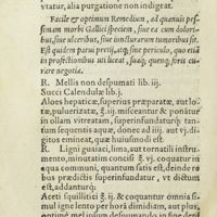 0033 - Page 14 - Facile & optimum remedium, ad quanuis pessimam morbi Gallici speciem, siue ea cum doloribus, siue ulceribus, siue iuncturarum tumoribus sit. Est quidem parui pretii, atq ; sine periculo, quo etià in profectionibus uti liceat, suaq ; quenq ; foris curare negotia