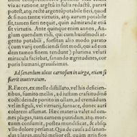 0038 - Page 19 - Ad sanandum ulcus carnosum in uirga, etiam si fuerit inveteratum