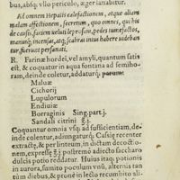 0040 - Page 21 - Ad omnem hepatis calefactionem, atque aliam malam affectionem, secretum, quo omnes, qui his de causis, faciem veluti leprosam, pedes tumefactos, manusque ; incensas, atque ; scabras intus habere videbantur, fuerunt persanati
