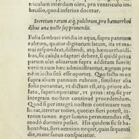 0041 - Page 22 - Secretum rarum atque ; pulchrum, pro haemorrhoidibus una nocte supprimendis / Unguentum nobile ad ignis ustionem, quod sanat, signo nullo relicto