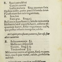 0048 - Page 29 - Ad vehementem infantium tussim / Ad capitis percussiones, tumores, siue casu, siue aliter evenerint / Ad surditatem remedium perfectissimum