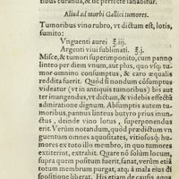 0053 - Page 34 - Aliud ad morbi Gallici tumores