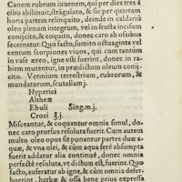 0060 - Page 41 - Modus parandi oleum ex cane ruso, quo, exceptis aliis suis, quas obtinet, virtutibus, monachum quendam persanaui, qui per undecim annos, brachium sinistrum, aridi ligni instar, habuit