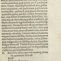 0078 - Page 59 - Remedium ad laterum, siue lumborum dolores, in multis tam viris quàm mulieribus probatum