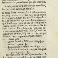 0080 - Page 61 - Aliud optimum & perfectissimum remedium, tam pro renum calculo, quàm vesicae