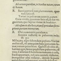 0083 - Page 64 - Ad rabidi canis morsum, & ad maniam, quae ex eo sequitur, remedium / Ad carnem putridam, in Naribus natam, rarum & bonum / Ad casum ex alto loco, etiam si periculum sit ruptionis partium internarum