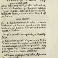 0084 - Page 65 - Ad scrophulas remedium facile, & bonum / Aliud ad idem / Ut scias an mulier conceptioni apta sit, certissimum / Ad strumas in quinquaginta diebus, ad summuns absumendas, rarum