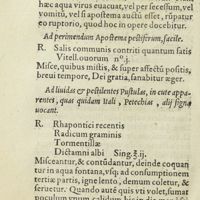 0107 - Page 88 - Ad perimendum Apostema pestiferum, facile / Ad lividas & pestilentes pustulas, in cute apparentes, quas quidam Itali, Petechias, alii signa vocant