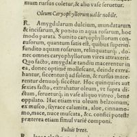 0129 - Page 110 - Oleum caryophyllorum valde nobile / Puluis Ireos