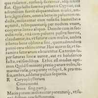 0138 - Page 119 - Ad odorem, puluinis conciliandum / Suffimentum Damascenum