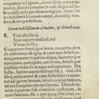 0152 - Page 133 - Sevum nobilissimum ad manus, & chirothecas