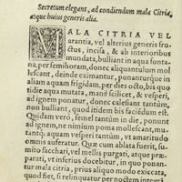 0159 - Page 140 - Dr Alexii Pedemontani, de secretis liber tertius. Secretum elegans, ad condiendum mala citria, atque huius generis alia
