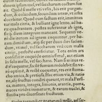 0160 - Page 141 - Modus purgandi & praeparandi mellis, uel sacchari, ad condienda mala citria, uel alia huiusmodi