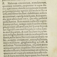 0162 - Page 143 - Diacitonium simplex, paratum modo Valentinorum, quo etiam utuntur Genuenses, in frusta uel placentarum formam confectum
