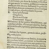 0165 - Page 146 - Melones siue Pepones, quomodo dulces, perfectique ; reddi possint