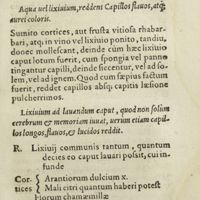 0192 - Page 173 - Aqua uel lixivium, reddens capillos flavos, atque ; aurei coloris / Lixivium ad lavandum caput, quod non solùm cerebrum & memoriam iuuat, verùm etiam capillos longos, flavos, & lucidos reddit