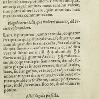 0202 - Page 183 - Plagula orientalis, qua mulieres utuntur, ad faciem colorandam / Alia Plagula perfecta