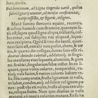 0216 - Page 197 - Pulcherrimum, ad Ligna tingenda variè, quibus fabri lignarii utuntur, ad mensas conficiendas, variis teffellis, & figuris, insignes