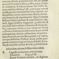 0218 - Page 199 - Ad pelles, rubro colore, tingendas / Ad viridem colorem pellibus inducendum