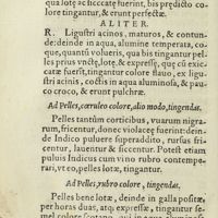 0219 - Page 200 - Ad pelles, coeruleo colore, alio modo, tingendas / Ad pelles, rubro colore, tingendas