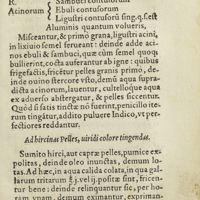 0220 - Page 201 - Aliud, ad pelles, viridi colore tingendas / Ad hircinas pelles, viridi colore tingendas