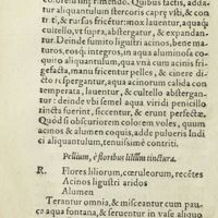 0221 - Page 202 - Pellium, è floribus lilium tinctura