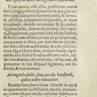 0222 - Page 203 - Ad Ossa, coeruleo, rubroque ; colore, inficienda / Ad tingendas suillas setas, aut alia huiusmodi, quibus vestes mundantur