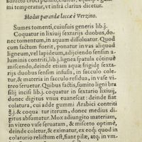 0224 - Page 205 - Modus parandae laccae è Verzino / Modus parandi tabulas albas, deletiles, in quibus scribitur stylo aeneo, cuiusmodi sunt libelli, qui in Germania fiunt