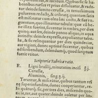 0225 - Page 206 - Scriptoriae rubricae ratio