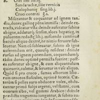 0226 - Page 207 - Ad pelles inaurandas quibus cum alia, tum peristromata, & aulaea fiunt