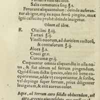 0281 - Page 262 - Oleum ad idem / Aqua, ad ferrum auro foliato obducendum, uel auro, argento vivo resoluto, quo aurifices ad argentum inaurandum utuntur
