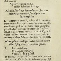 0300 - Page 281 - Ad pedes, siue longa inambulatione, siue humoribus ad eos delatis, siue aliis de causis, tumefactos / Ad eos, qui Morbo aliquo, uel melancholia imbecilles, lassique, ita ut uix incedere queant