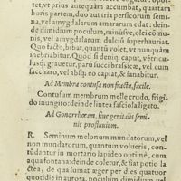 0301 - Page 282 - Ad Ebriatatem, eosque, qui caput imbecillum habent, variaque uina, ut in conuiuiis solet, potare coguntur / Ad membra contusa non fracta, facile / Ad gonorrhoeam, siue genitalis seminis profluvium