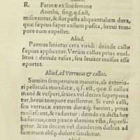 0305 - Page 286 - Aliud / Aliud / Aliud, ad Verrucas & callos / Alius