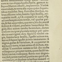 0308 - Page 289 - Ad Rosas uel caryophyllos albos, vario colore brevi tempore tingendos, probatum